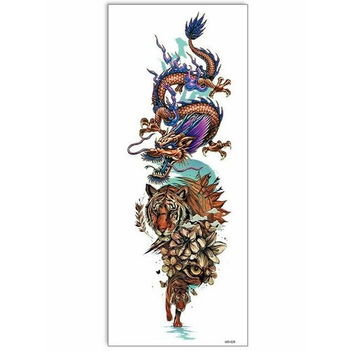 ���� ���������� ��������� ���� ����� �� �������� / 43 � 15 �� ����, ������ ������