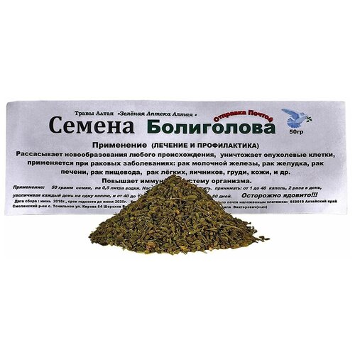 ���� ������ ������� ������ ����������, ��������, ������ ������