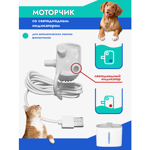 ���� ����� ��� ������ ( � ����������), ������ ������