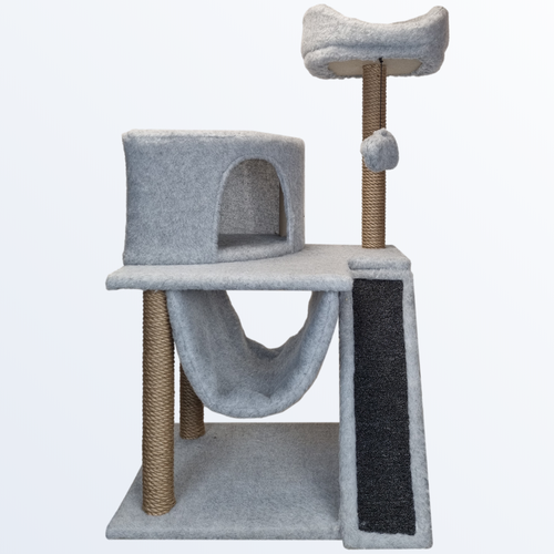 ���� ������� �������� 