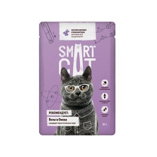  Smart Cat   25             2,125  59987 (1 )   -     , -,   