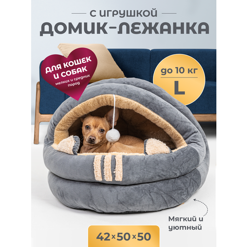      , L 505042 ,     ,   Family Pet   -     , -  