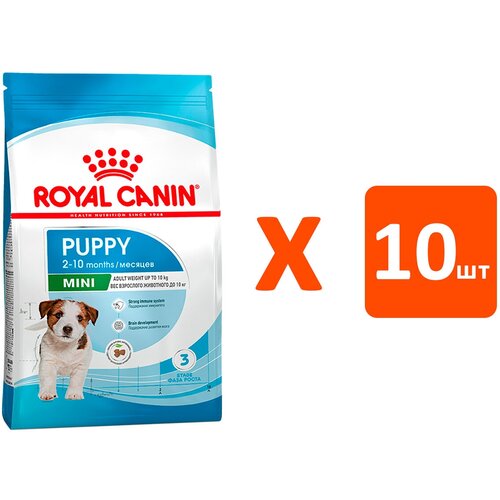  ROYAL CANIN MINI PUPPY     (0,8   10 )   -     , -  