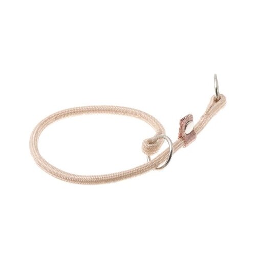 ���� �������� ���� ������� ZooOne (co ��������) � 2-� �������� ������� 6 ��, ����� �������� 30 ��, ������ ��� 30 ��, 1 ��., �������� �����, ������ ������