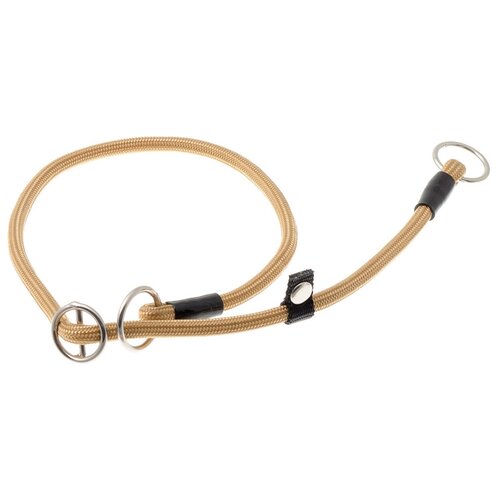 ���� �������� ���� ������� ZooOne (co ��������) � 2-� �������� ������� 6 ��, ����� �������� 35 ��, ������ ��� 35 ��, 1 ��., ������, ������ ������