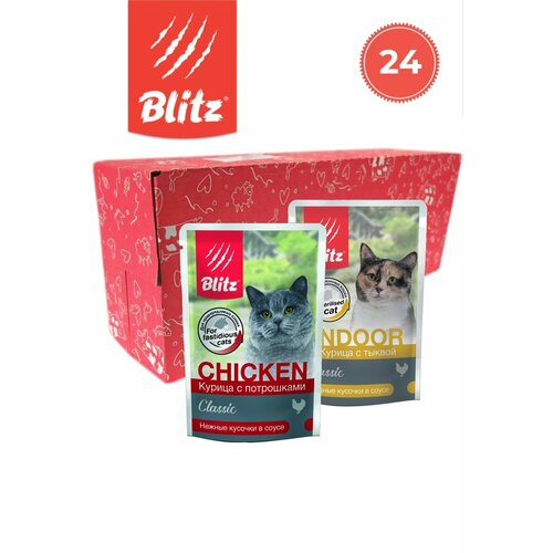        BLITZ ,  85 x 24   -     , -  