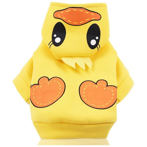 ���� ����� - ��������� � ��������� ��� ����� 