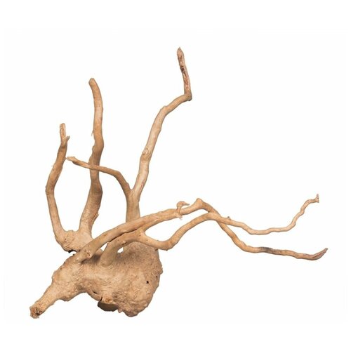 ���� ��������� ��� ��������� PRIME ������ ������ M 30 � 60 �� (1 ��), ������ ������