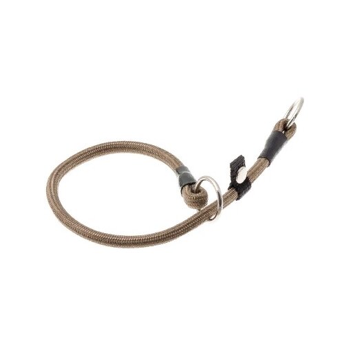 ���� �������� ���� ������� ZooOne (co ��������) � 2-� �������� ������� 6 ��, ����� �������� 30 ��, ������ ��� 30 ��, 1 ��., ���������, ������ ������