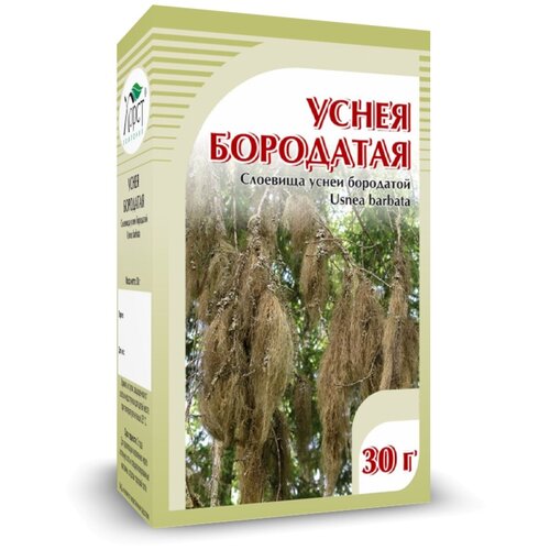 ���� ����� �������� ����� ���������, ������ ������