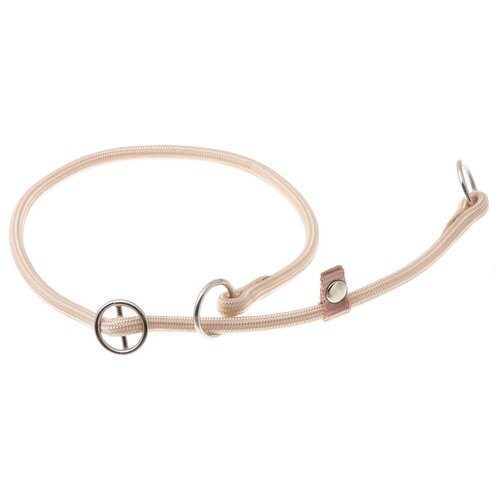 ���� �������� ���� ������� ZooOne (co ��������) � 2-� �������� ������� 6 ��, ����� �������� 45 ��, ������ ��� 45 ��, 1 ��., �������� �����, ������ ������