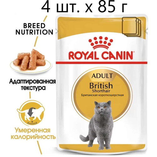      Royal Canin British Shorthair Adult,      , 4 .  85  (  )   -     , -  