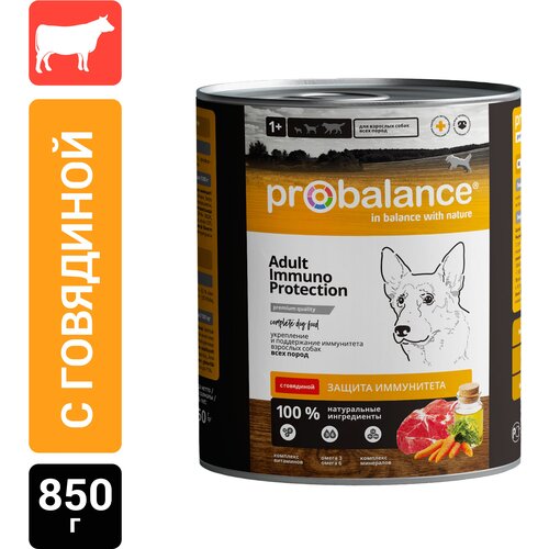      ProBalance Immuno Protection, ,   1 .  1 .  850    -     , -  