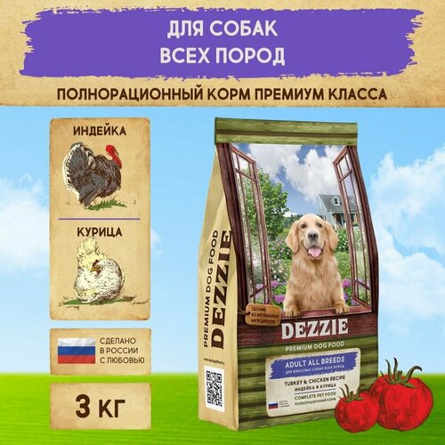        3  DEZZIE () Adult Dog,      -     , -  