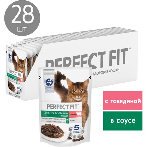     PERFECT FIT        75*28   -     , -,   