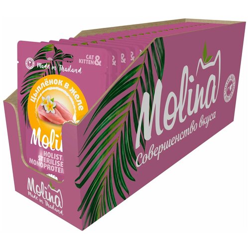  MOLINA         (70   24 )    -     , -,   