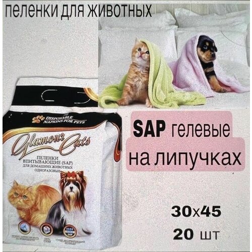       , ,  4530  20 , Glamour Cats,   SAP