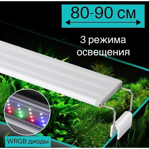  YR - 80 LED ( 80   90 ) / 3   /      -     , -  