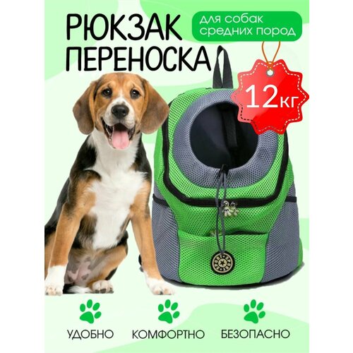 ���� ������ ��������� ��� ����� �� 12��, ������ ������