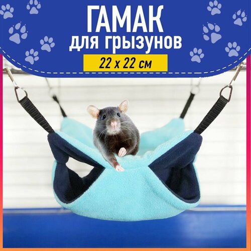 ���� ����� ��� ����, ����, ������� ������, ��������, ������� � ��������, 22x22 ��, ������ ������