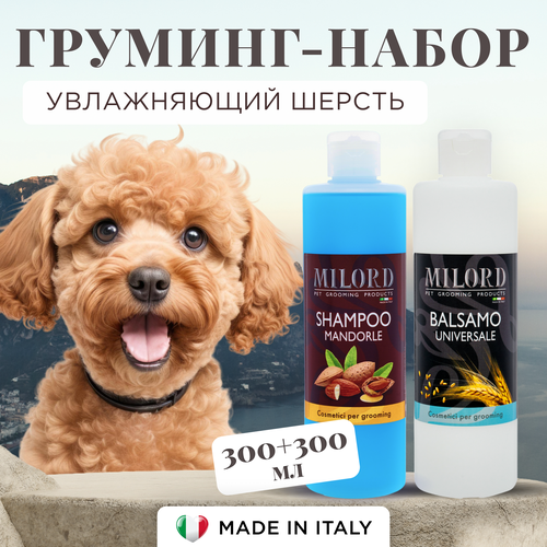 ���� �������� ����� ������� ��� ����� ����������� ������� � ������� ���������, ������� ��������������� � ������ ��� ���� ������, MILORD, ������, 300+300 ��, ������ ������