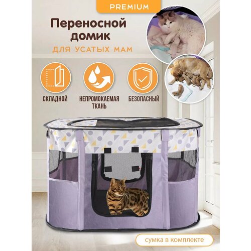 ���� �������� ����� ��� �������� ��� ����� � �����, ������ ������