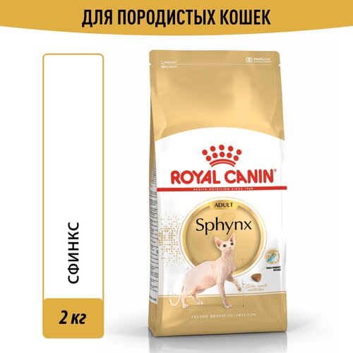    Royal Canin Sphynx Adult ( )       1   12 , 2    -     , -  