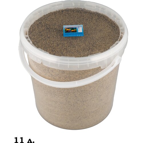 ���� ������ �������� - ����������� ���� ��� ����������� ��� 11�, ������ ������