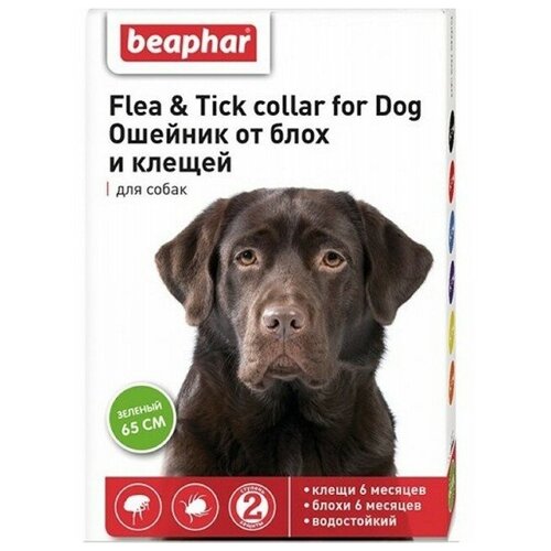  Beaphar      Flea & Tick.    , 65 ,  1 .,  