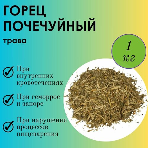 ���� ����� ���������� ����-�������� - ����� �� ��������, ������� ������� 1��, ������ ������