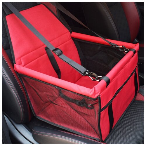 ���� ��������� ��������� �� �������, ���� ����� ��� ��������, ������ ������