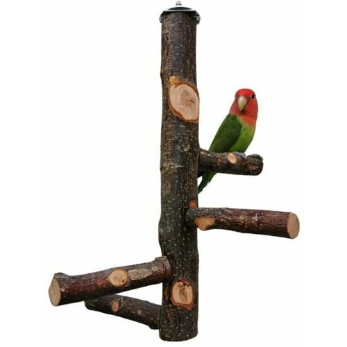 ���� ������� ��� ���� �������� ���������� Mr.Pips 30 ��, ������ ������