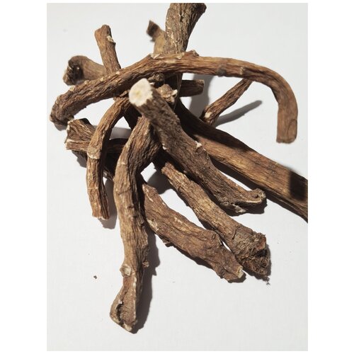 ���� ������ ���������� 