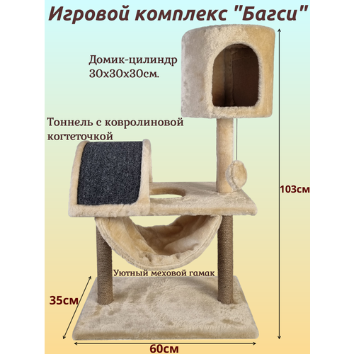 ���� ������� �������� 