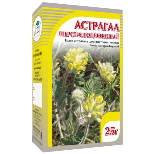 ���� ����� ����� �������� ������������������, 35 �, ������ ������