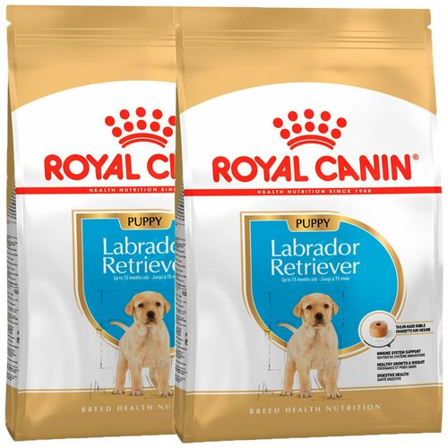  ROYAL CANIN LABRADOR RETRIEVER PUPPY     (3 + 3 )   -     , -,   