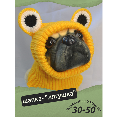 ���� �����-������� ��� ����� � ����� ������ � ������� �����, ����� ���� ��� ��������, ������ ������