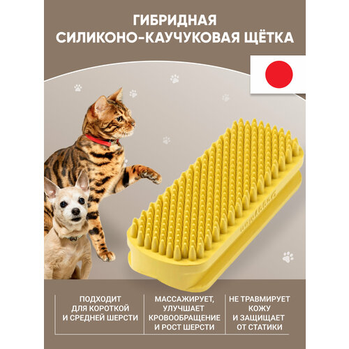       Japan premium Pet           .   -     , -  