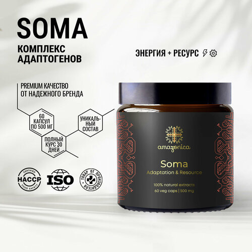  Soma Amazonica    60 .           . . .   -     , -  