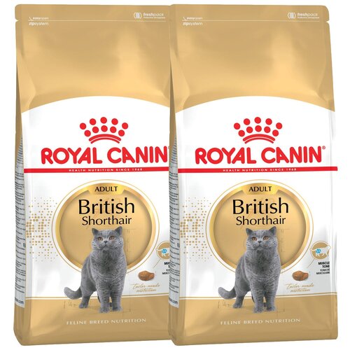      Royal Canin    2 .  2000    -     , -  