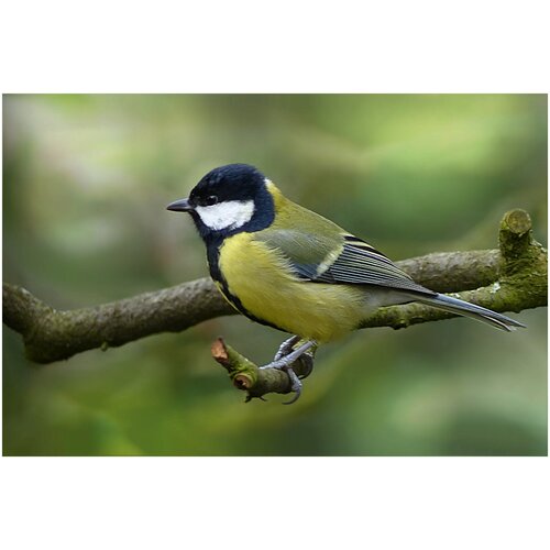 ���� �������� ����� ��� ����� 10��, ������ ������