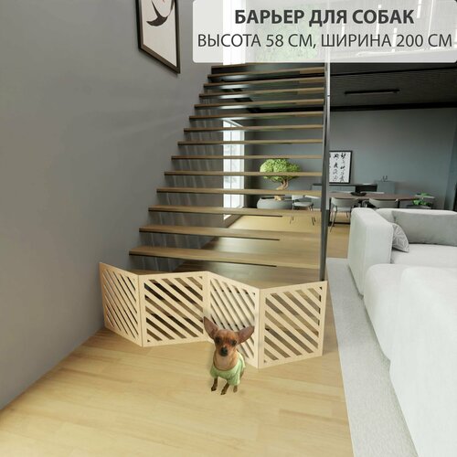 ���� ���������� ��� ������. ����������� ��� �����. ������ 58 �� ������ 200 �� . �������, ������ ������