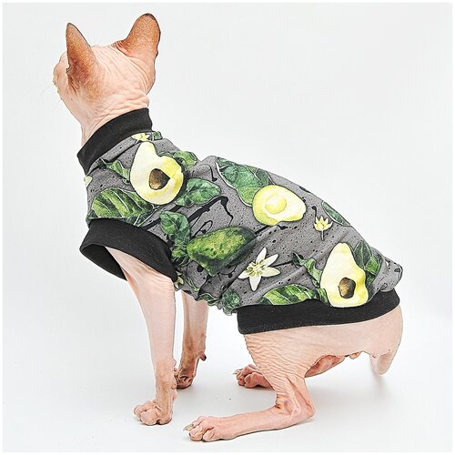 ���� ������ ��� ����� ���������� �����, ����� ������ ������� , ������ M, ������ ������