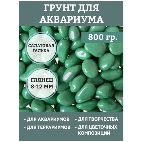 ���� ����� ��� ��������� 