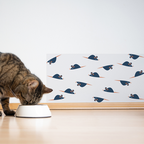 ���� �������� ������������� ������ / ������ ��� ������������� ���� � ���� �� ����� ��������� ��� ������� 