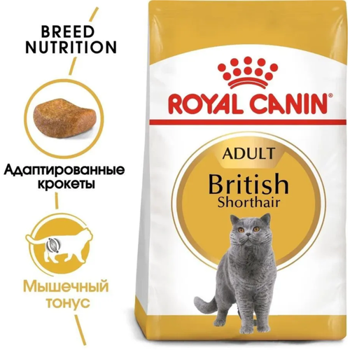        Royal Canin British Shorthair Adult, 400 .