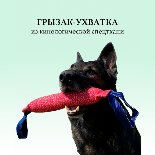 ���� ������ ��� ����� BITEFORCE, 9 �� 30 ��, �������, �������, ����� ��� �����, ������ ������