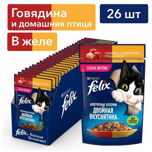     FELIX       75 ( - 26 )   -     , -,   