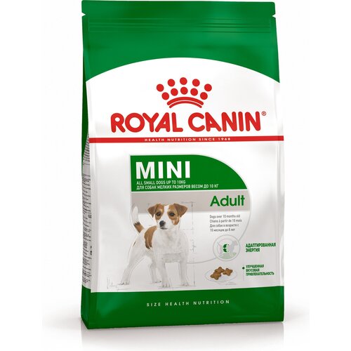         10  Royal Canin Mini Adult,  , 8    -     , -,   