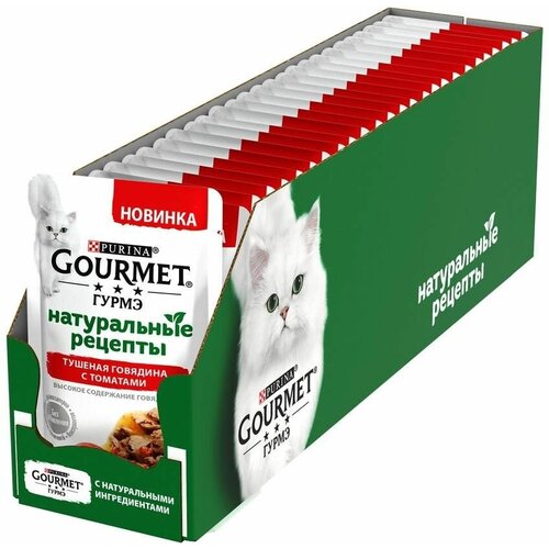     GOURMET        75 ( - 26 )   -     , -,   